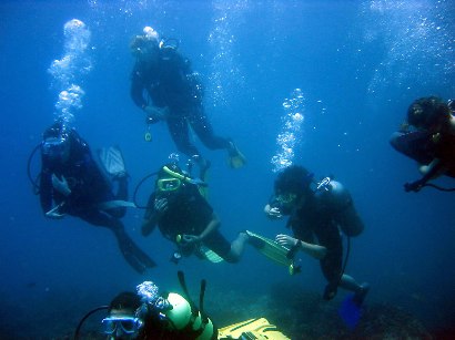 7 Nights B&B with PADI Open Water Course (3-4 Days): 435€ per person