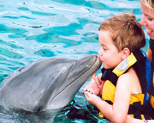 <i>Trip 3: </i> <u>Dolphin Show (Swimmng w/ Dolphins)</u>