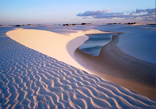 <i>Trip 5: </i> <u>The White Desert</u>